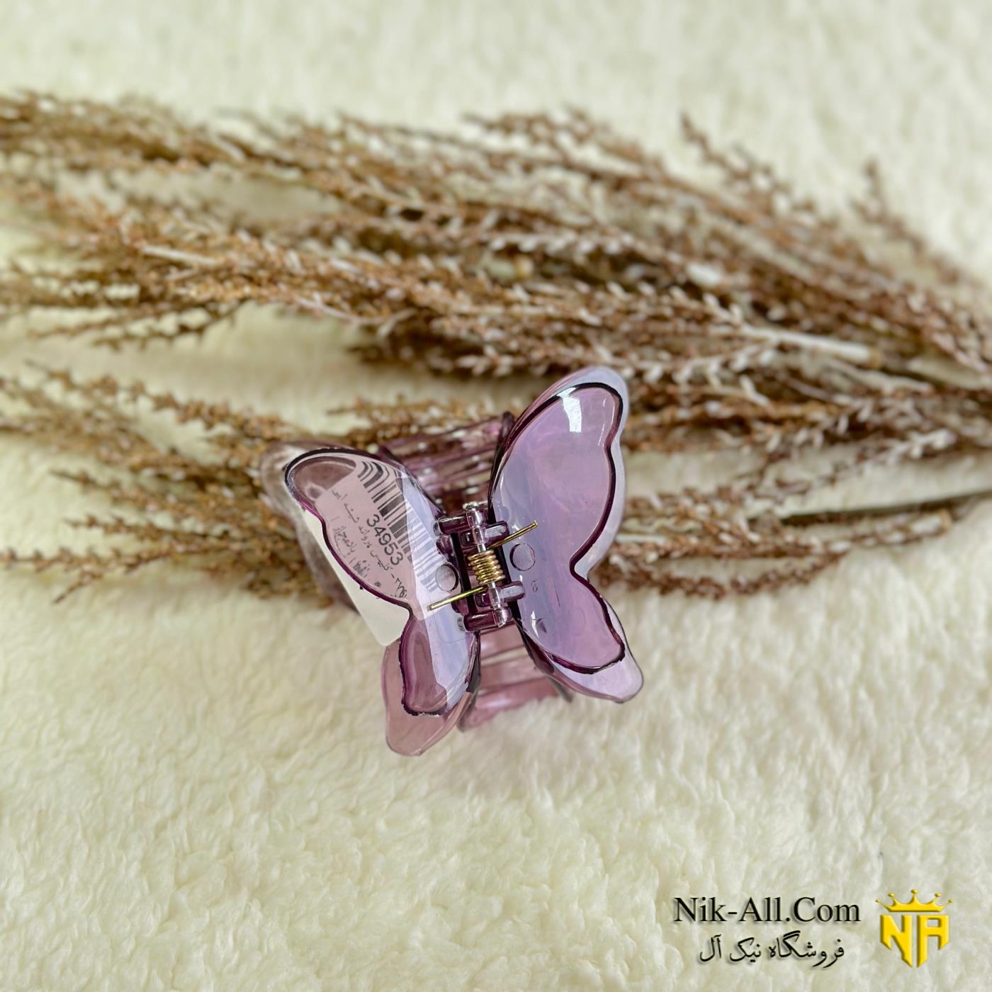 کلیپس پروانه شیشه ایی 